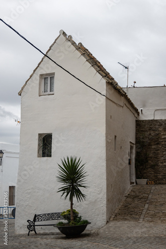 Typical white Andalusian rustical town house in a village in the province of Cadiz