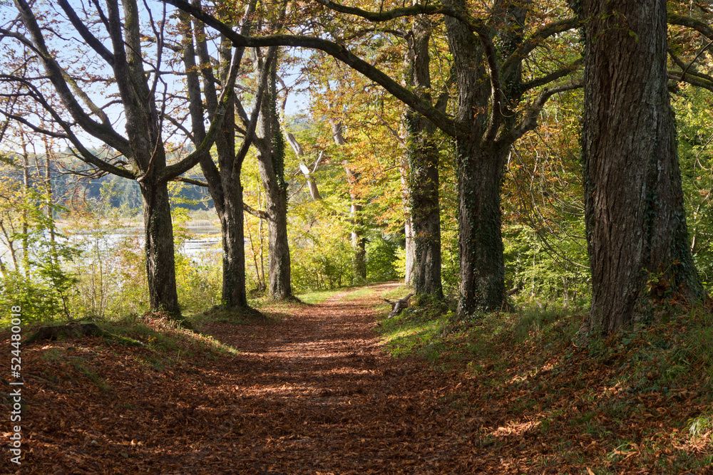 Herbstwanderung am Deixlfurter See (Oberbayern)