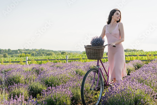 brunette woman with bike and lavender flowers in wicker basket looking away in blossoming field. © LIGHTFIELD STUDIOS