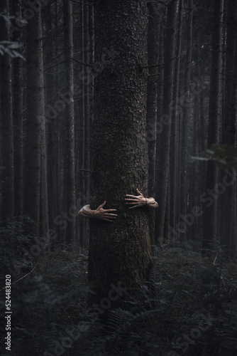 foresta
