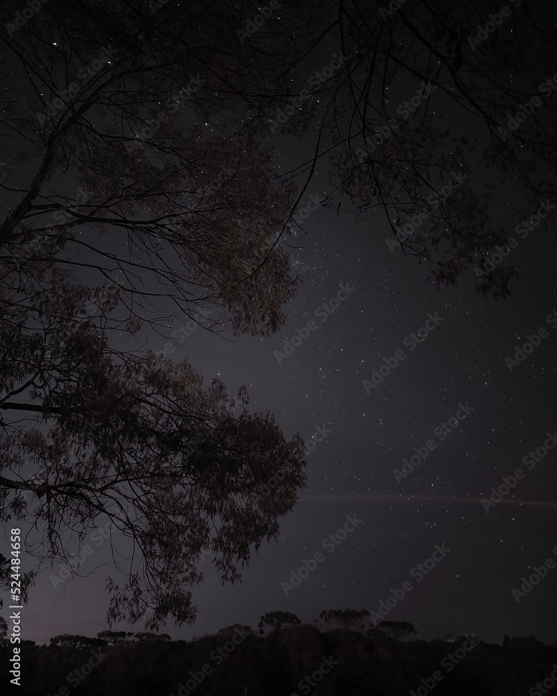 Fototapeta premium night lapse