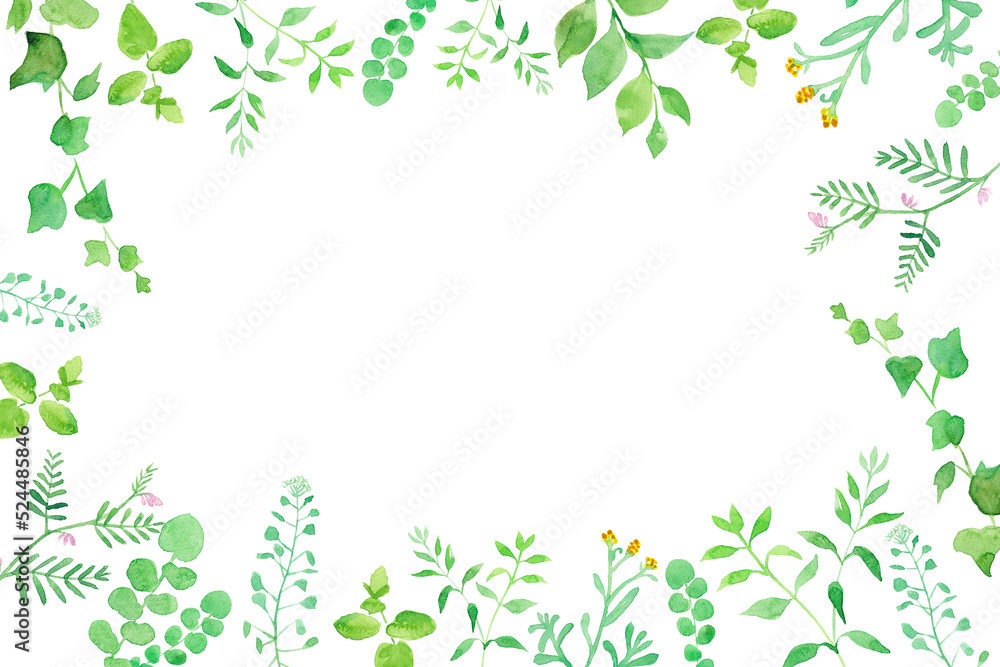 グリーンの草花の囲みフレーム。水彩イラスト（透過背景）