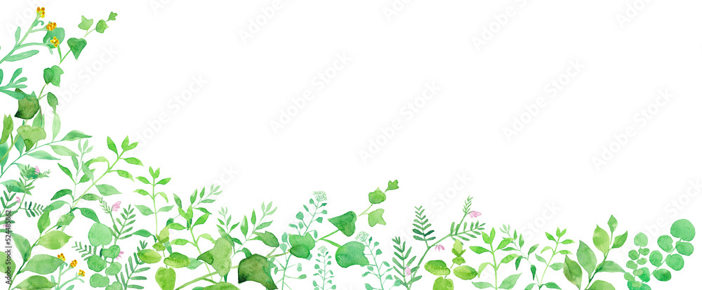 グリーンの草花の横長装飾バナー背景。　水彩イラスト（透過背景）