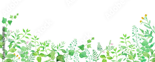 グリーンの草花の横長装飾フレーム。 水彩イラスト（透過背景）