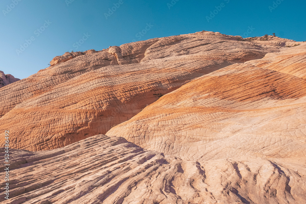 Fototapeta premium Yankee Doodle Yant Flats