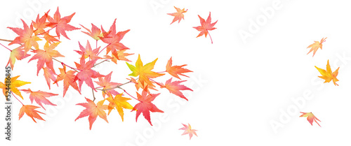 赤く色づいた秋の紅葉の枝と落葉。水彩イラストバナー背景（透過背景）
