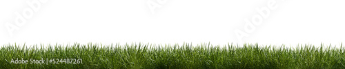 Fotografia Isolated green grass on a transparent background
