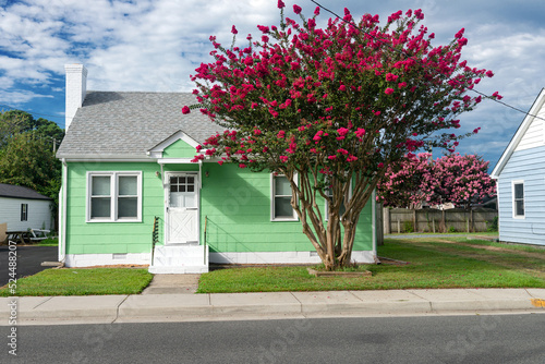 small nice colorful  green house with a well-groomed lawn and a large Lagerstroemia at the entrance. Blue sky on a sunny day. photo