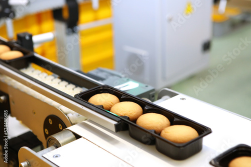 Controlling the work of huge conveyor machine producing spice cakes at the confectionary plant. Cookie production line. Innovative biscuit production.