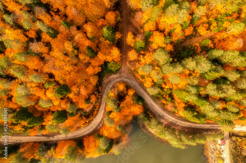 bozcaarmut lake aerial view at autumn with beautiful colors of trees photo