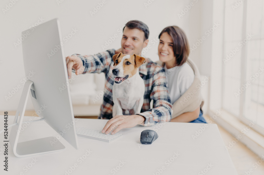 Pleased young woman and man watch computer content, point into screen ...