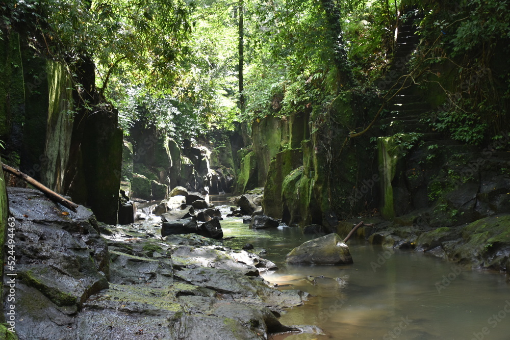 Mossy Jungle Canyon in Central Bali Mossy Jungle Canyon in Central Bali