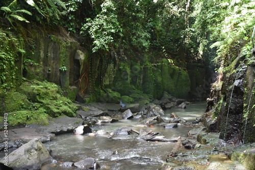 Obraz na plátně Jungle Canyon Creek near Kanto Lampo Waterfall, Bali