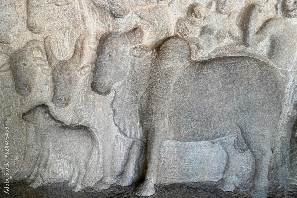 Bull sculpture carved in the monolithic rock cut unfinished ancient ...