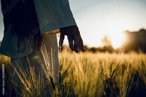 golden wheat field grass art hand