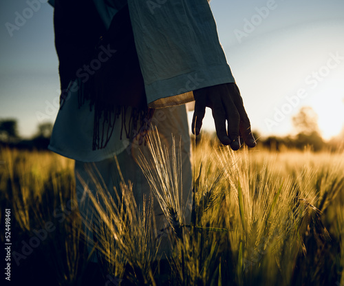 golden wheat field grass art hand