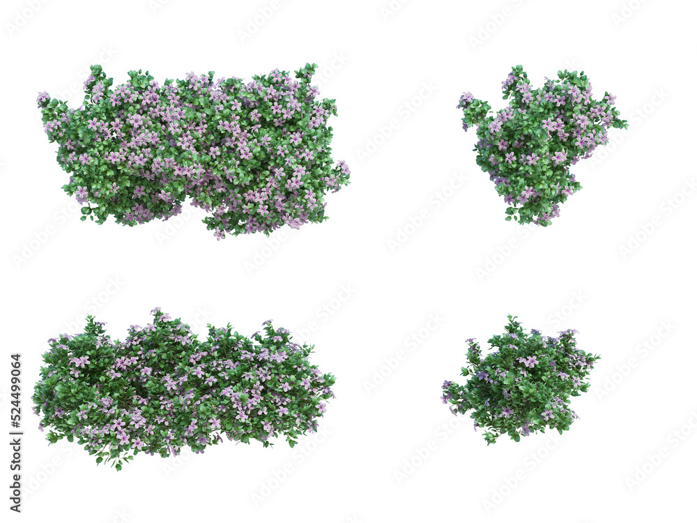 Obraz premium 3d Render Brush Tree Isolated on white