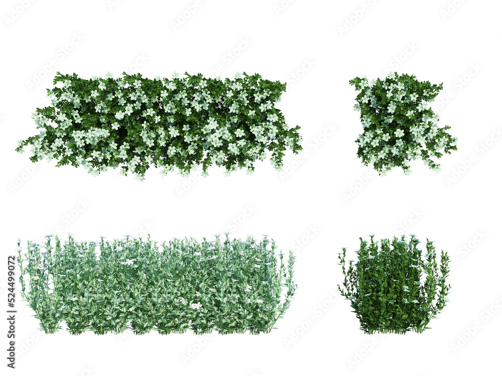 Obraz premium 3d Render Brush Tree Isolated on white