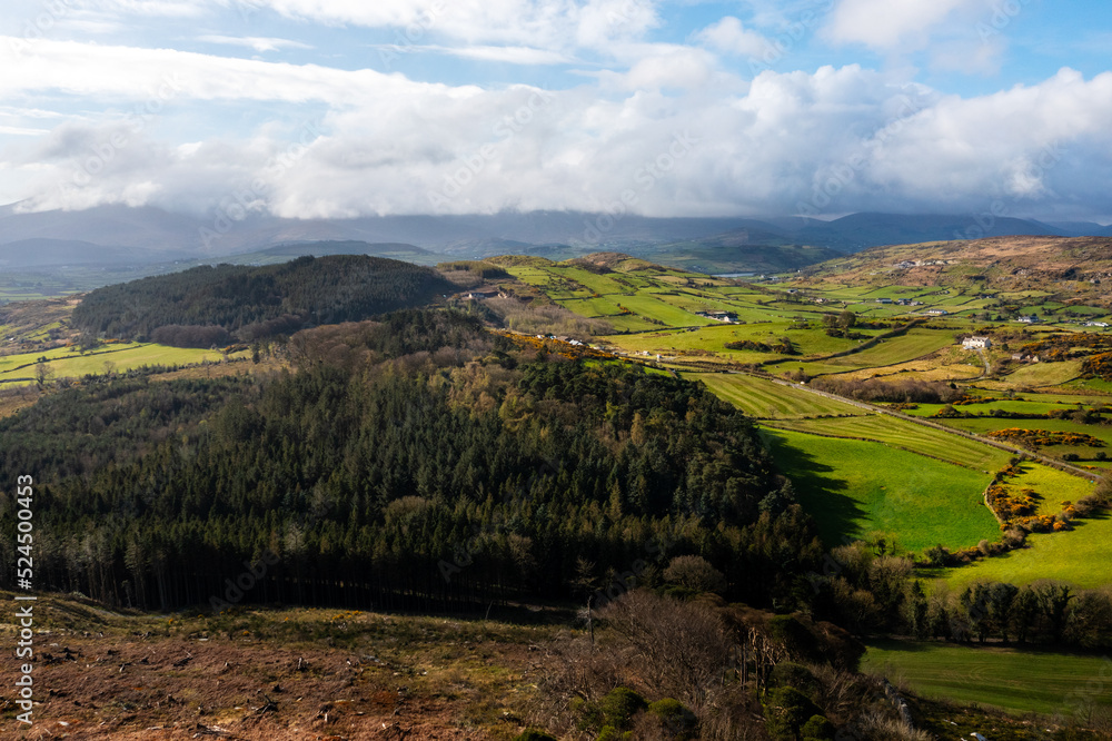 Obraz premium Aerial view of summer forest countryside, Northern Ireland 