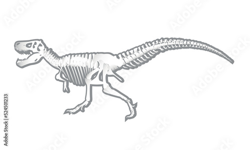 Dinosaur skeleton isolated on white background. Tyrannosaurus rex. Prehistoric animal.Vector graphics