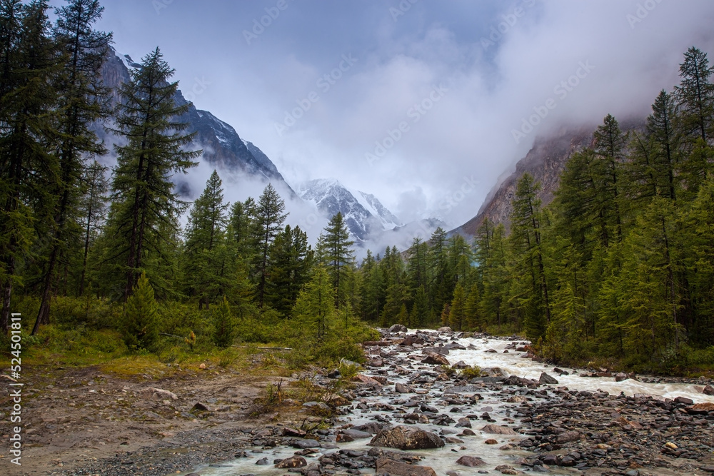 Mountain landscape in cloudy weather Mountain landscape in cloudy weather
