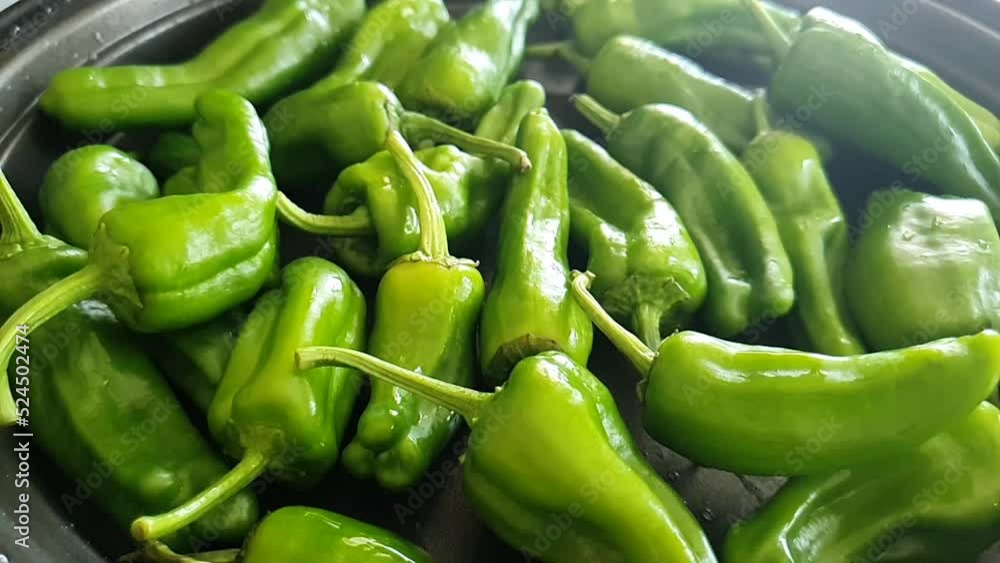 Juicy green peppers. Cooking process of sweet green pepper. Healthy fresh vegetables. Useful vegetables for advertising. Video cooking dishes from pepper. Useful sweet pepper cooking. Juicy green peppers. Cooking process of sweet green pepper. Healthy fresh vegetables. Useful vegetables for advertising. Video cooking dishes from pepper. Useful sweet pepper cooking.