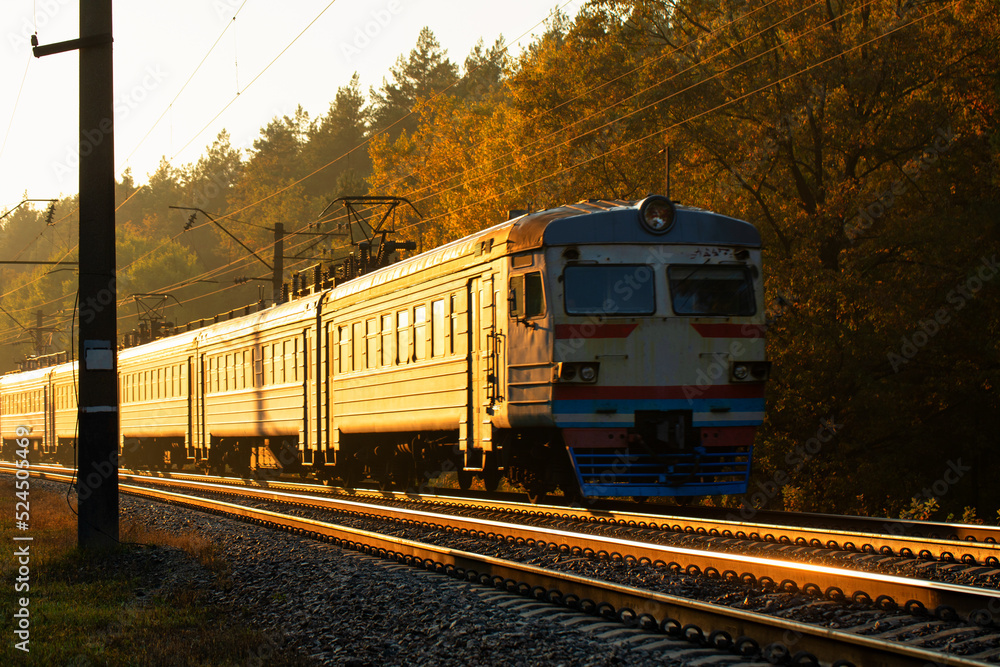 Fototapeta premium An old passenger train moves through the forest at dawn.