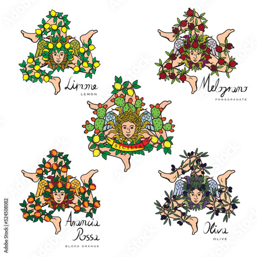 Vector illustration set of Sicilian triskelions photo