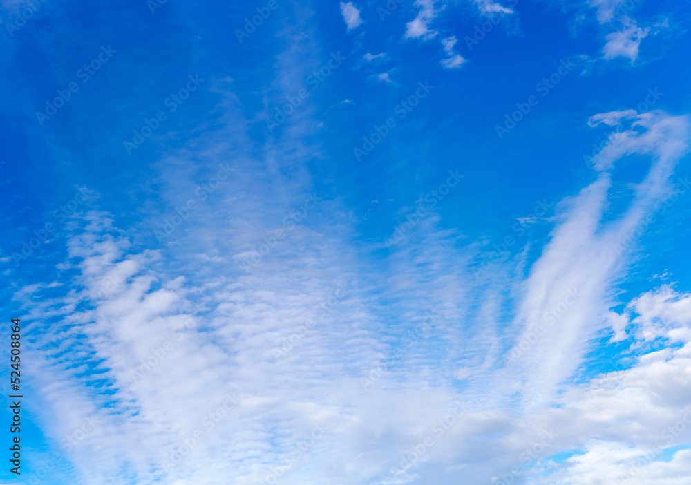 White clouds in the blue sky. A symbol of the purity of the world and whiteness.