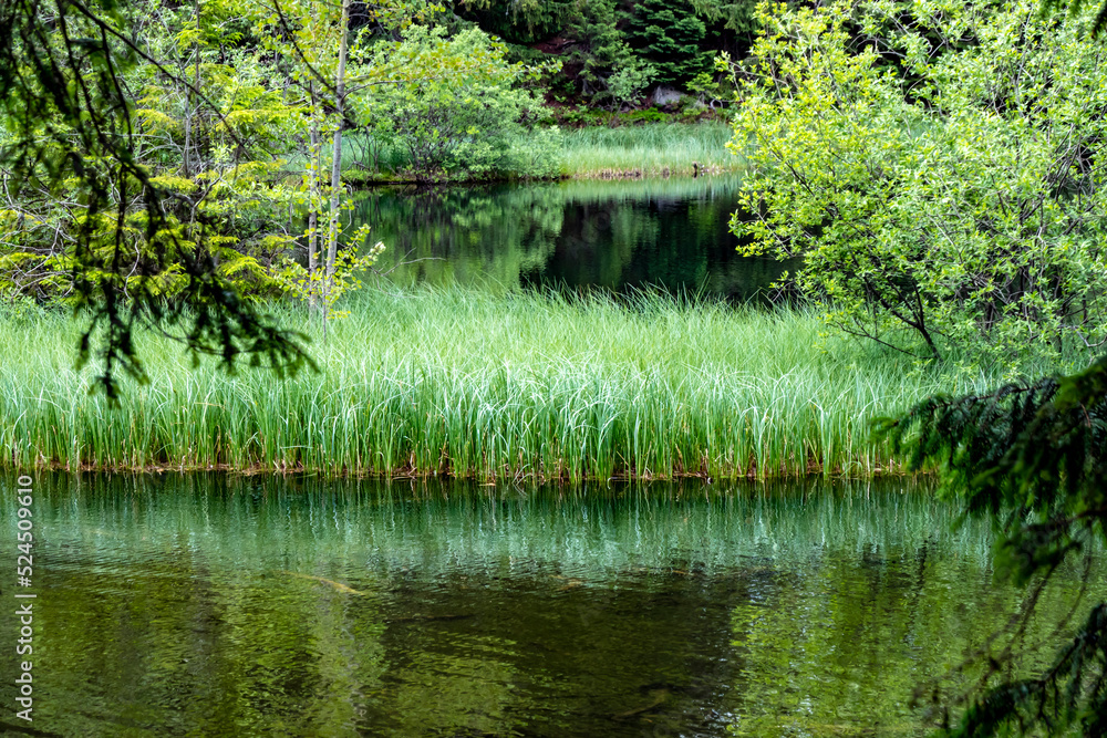 The beautiful mountain lake Vrbicke Pleso in the Low Tatras in Slovakia The beautiful mountain lake Vrbicke Pleso in the Low Tatras in Slovakia