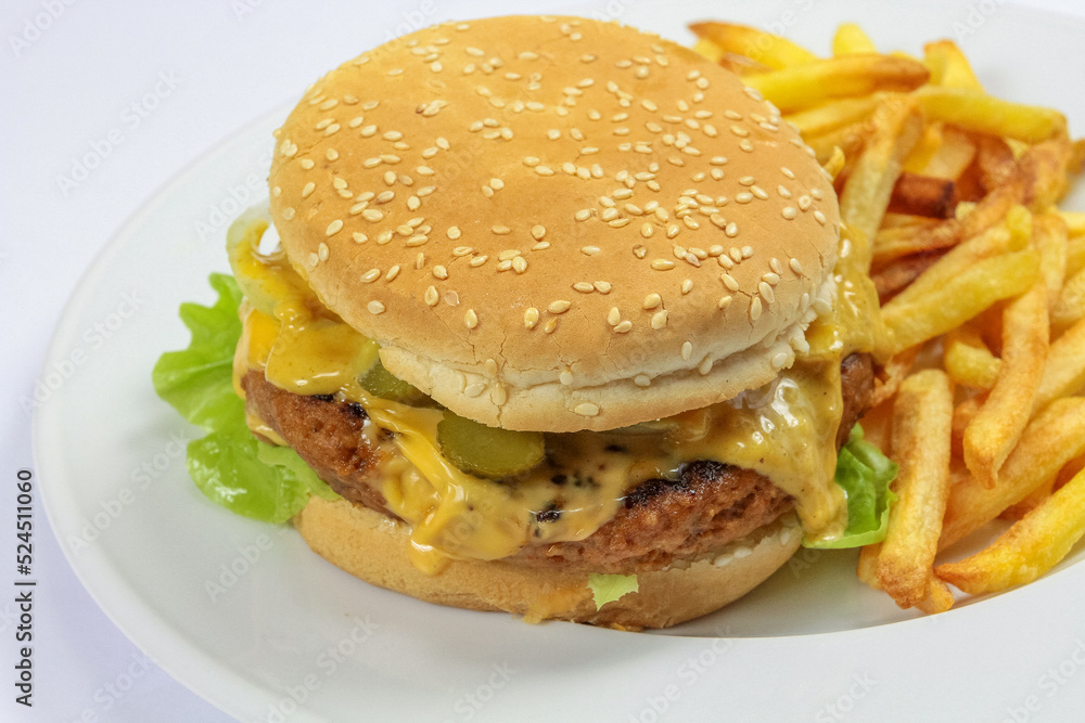 burger et frites en gros plan dans une assiette burger et frites en gros plan dans une assiette