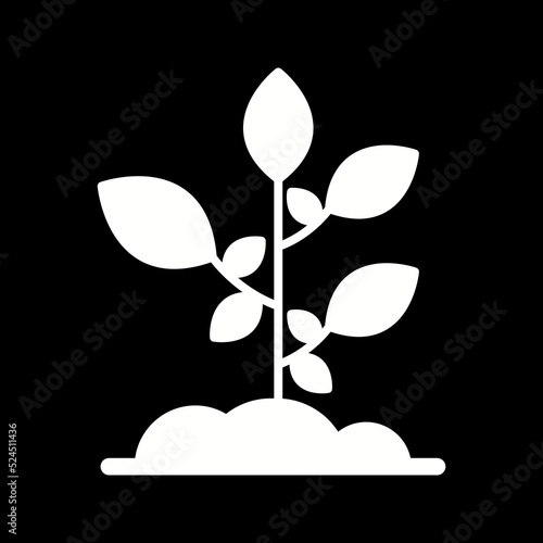 Sprout Icon