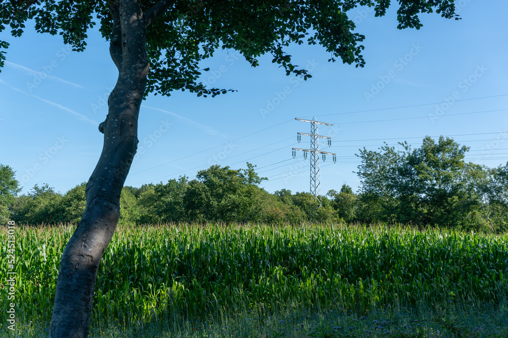 Field with high voltage electric line near Driedorp in The Netherlands.