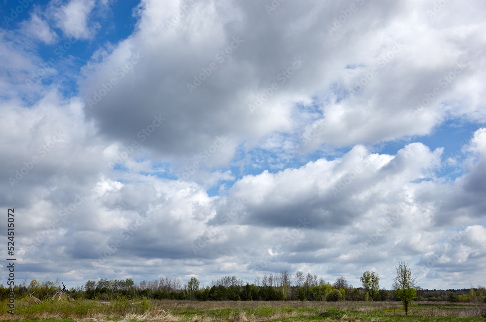Beautiful summer rural landscape. Meadow with trees and grass against the clouds sky Beautiful summer rural landscape. Meadow with trees and grass against the clouds sky