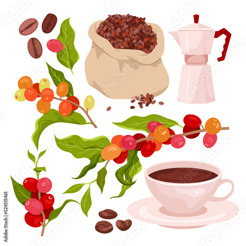 Cartoon isolated red berry fruit hanging on branches of plant with green leaves and flowers on twig, bag with organic seeds, coffee maker and cup with caffeine drink. Coffee set vector illustration
