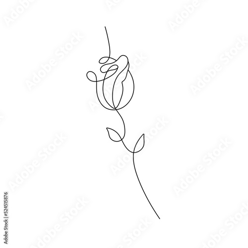 Vector isolated one vertical rose with long stem colorless black and white contour one single line easy drawing