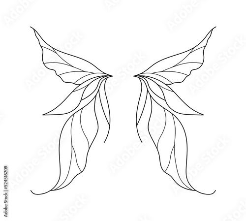 Vector isolated pair of beautiful big fairy wings colorless black and white contour line easy drawing