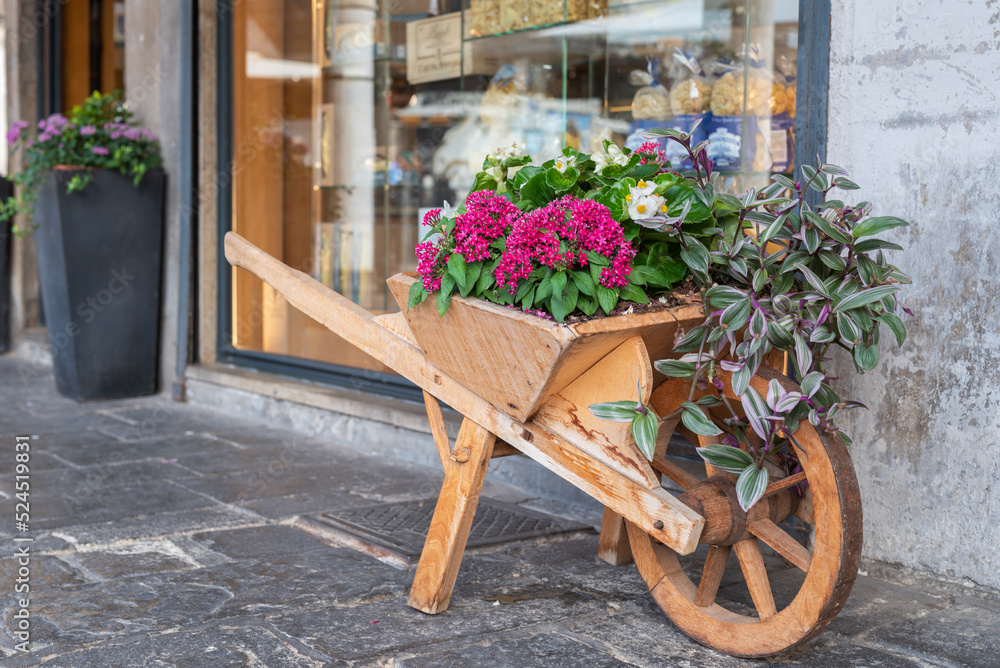Wooden wheelbarrow with blooming flowers decoration on street