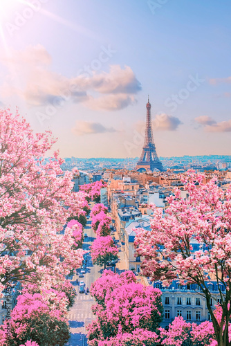 Paris city in the springtime © Stockbym