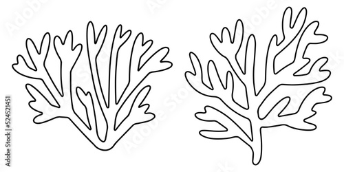 Fototapeta Naklejka Na Ścianę i Meble -  Two hand-drawn corals coloring page for children and adults. Sea creature corals black outline isolated on white. Funny tropical ocean coral reef cartoon design elements