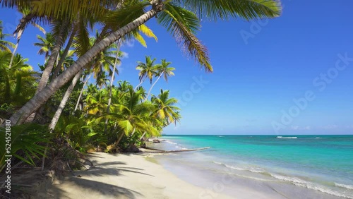 Thailand coastline with white sand and palm trees. Uninhabited island in the ocean. Blue sea waves on a white tropical beach. Camera without movement. photo