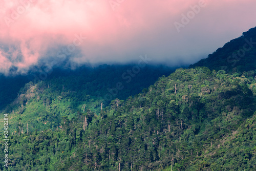 Mountains in rural Guatemala, Central America, source of oxygen and drinking water, endangered areas due to demographic exploitation, climate change, limited green space.