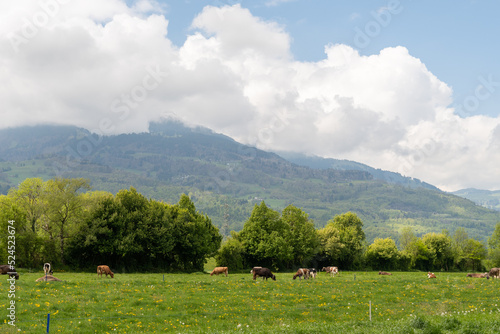Natural scenery in Vaduz in Liechtenstein © Robert
