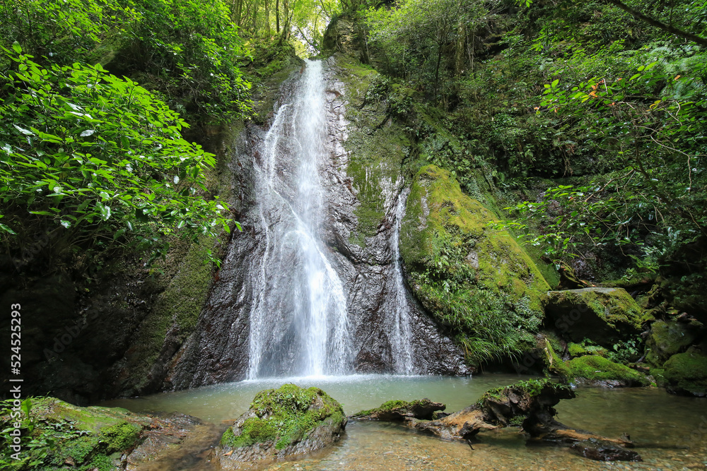 Obraz premium 愛媛県内子町 紅葉ヶ滝