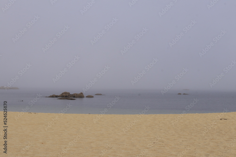 Sea fog on the beach