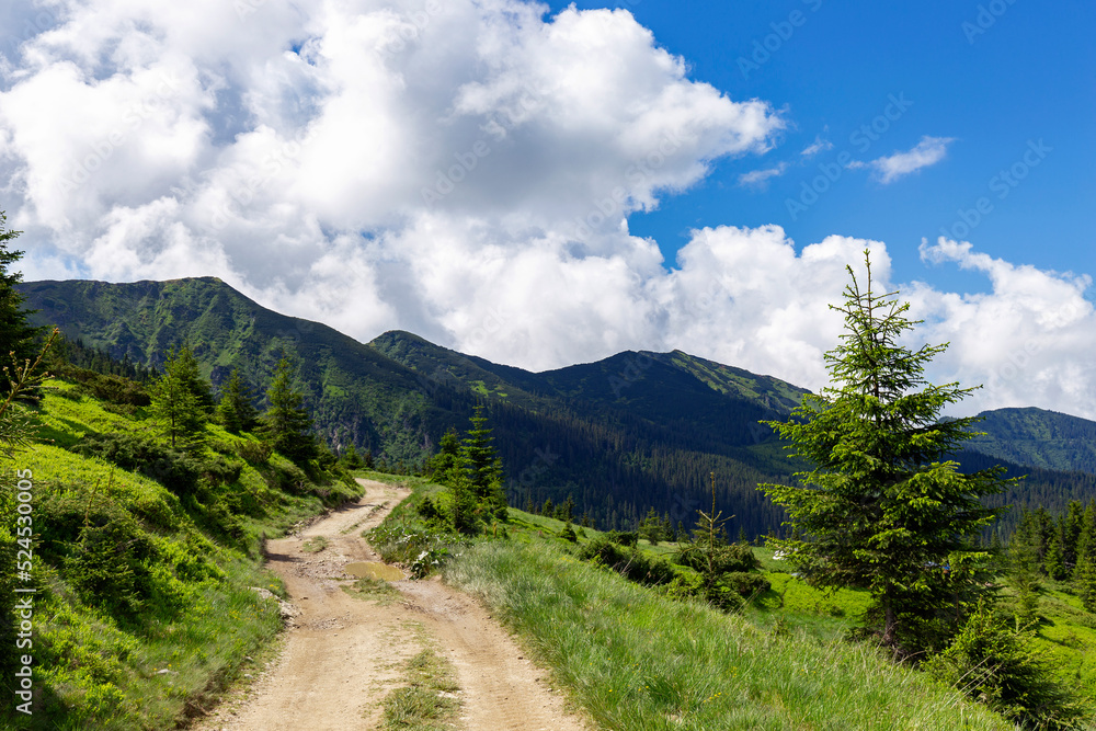 A road in the mountains that runs along the slope among meadows and forest against the background of mountain ranges, blue sky and white clouds. The unique nature and landscape of the Carpathians.