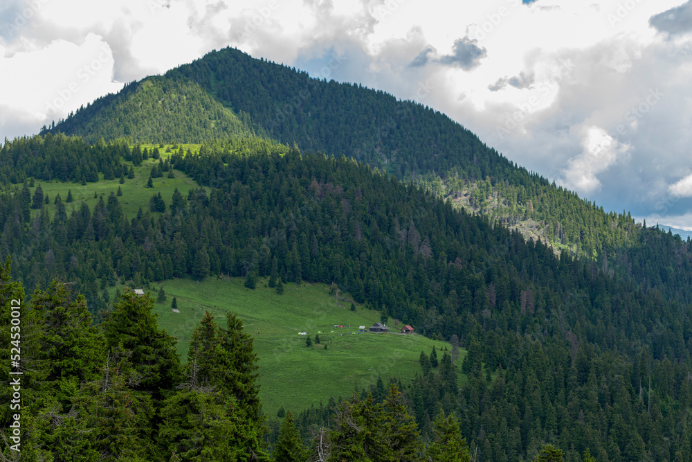 Magical summer dawn in the Carpathian mountains. Region Maramures Mountains, Mount Pip Ivan, Ukraine. Vibrant photo wallpaper.