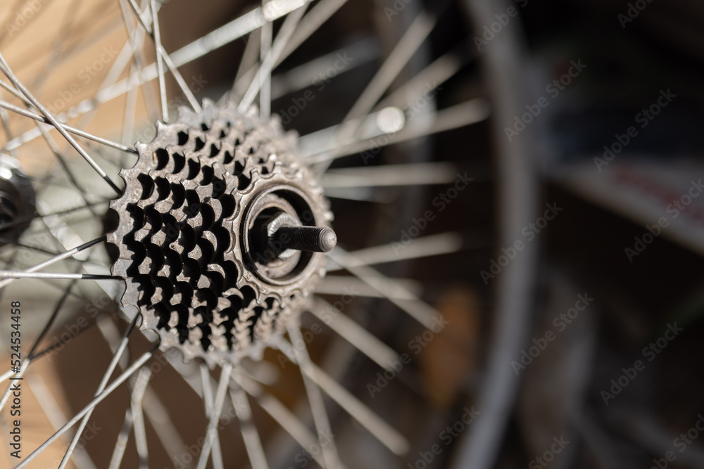Fototapeta premium Bicycle gear ratchet