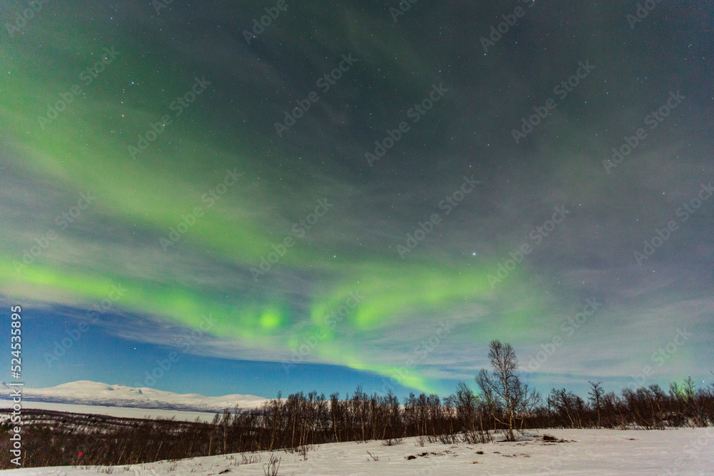 custom made wallpaper toronto digitalAurora borealis at Abisko in Sweden. a night with colors in the sky. cold, snow and lights a beautiful landscape