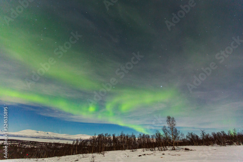 Wallpaper Mural Aurora borealis at Abisko in Sweden. a night with colors in the sky. cold, snow and lights a beautiful landscape Torontodigital.ca